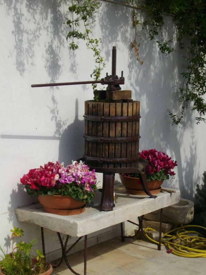 B&B Le Coppe Bisceglie Kültér fotó